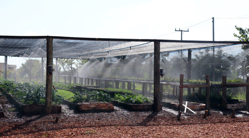 Sistema de irrigação irá contribuir no aumento da produtividade e qualidade das mudas cultivadas no viveiro