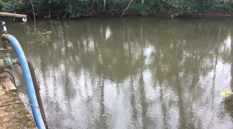 Os dados foram enviados para a Polícia Ambiental e ao Ministério Público